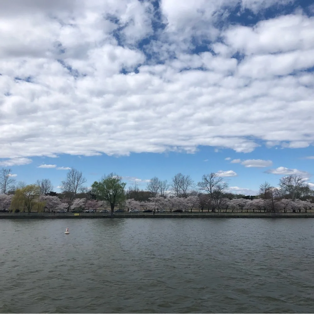 OLIVIA MATTHEWS Off-the-Shoulder Chinoiserie Floral Dress - Picture 12 of 12